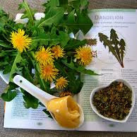 Why Dandelion Root Capsules Are So Important for High Blood Pressure