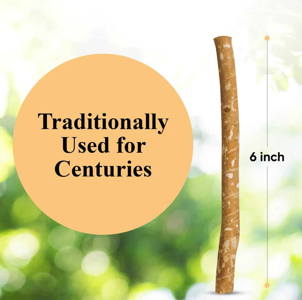 Miswak Toothbrush clove/mint flavor