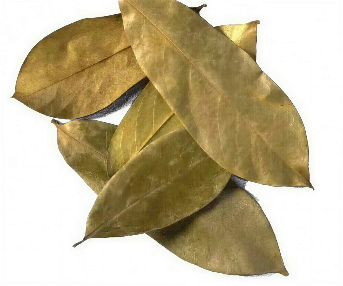 A pile of dried, golden-brown leaves with prominent veins, arranged on a plain white background.
